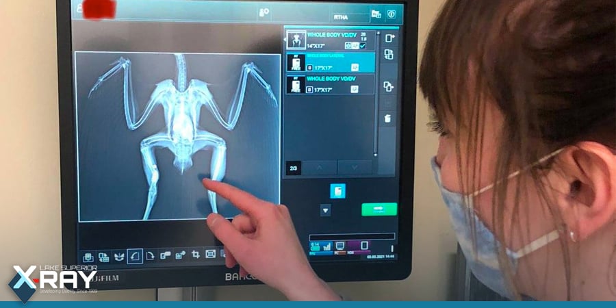 Lake Superior X-Ray is honored with the Sanbyaku Award